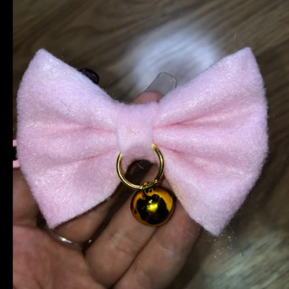 SHEIN Bow Cat Collar